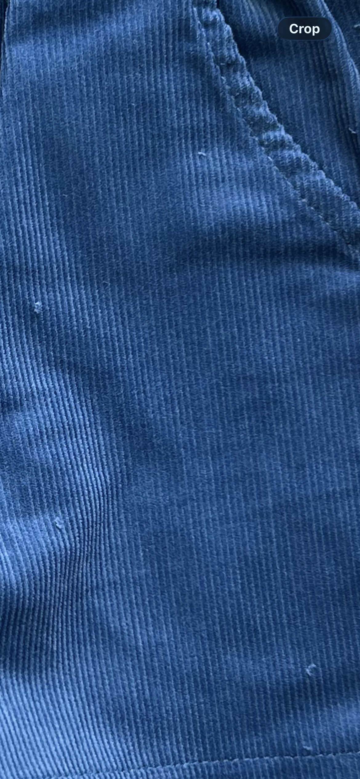 Corduroy Shorts Navy Blue